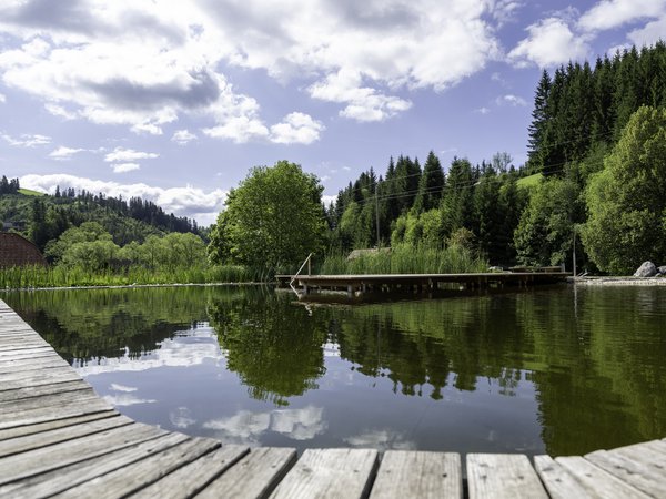 Badeteich mit Spiegelung der Landschaft im Wasser